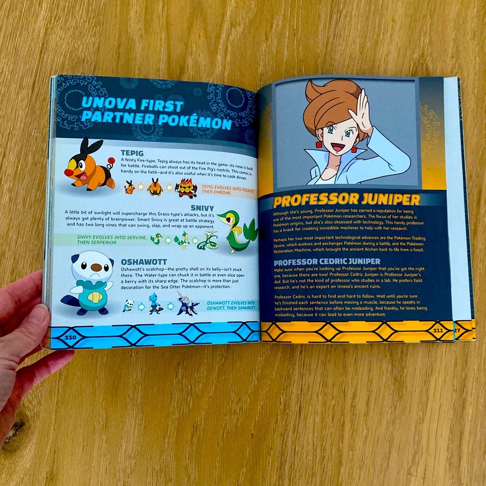 Pokémon Official Adventure Guide - Picture 4 of 6